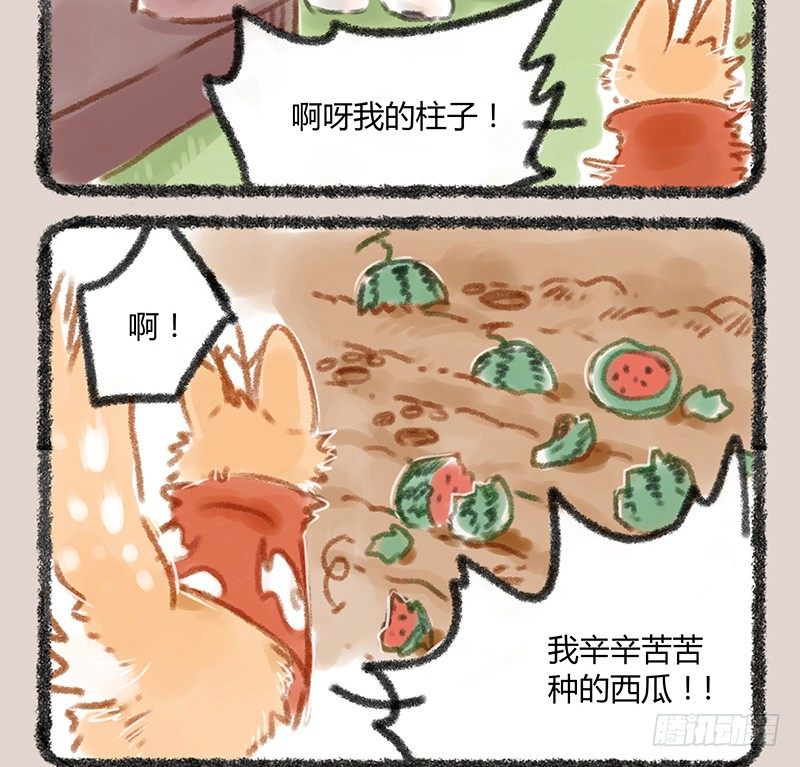 有兽焉韩漫全集-白虎也是喵~无删减无遮挡章节图片 