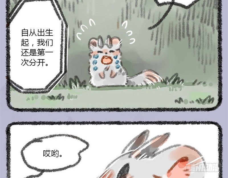 有兽焉韩漫全集-往事不堪回首无删减无遮挡章节图片 