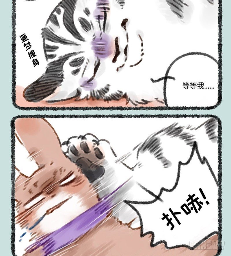 有兽焉韩漫全集-寄兽篱下无删减无遮挡章节图片 