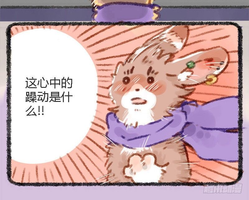 有兽焉韩漫全集-有美人兮，见之不忘。无删减无遮挡章节图片 