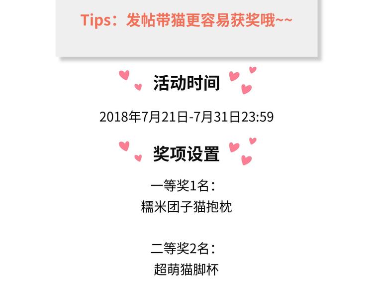 游戏世界韩漫全集-【萌猫物语】我和猫咪那些事无删减无遮挡章节图片 