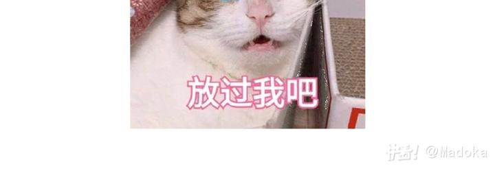 游戏世界韩漫全集-818那些有毒的贵族们无删减无遮挡章节图片 