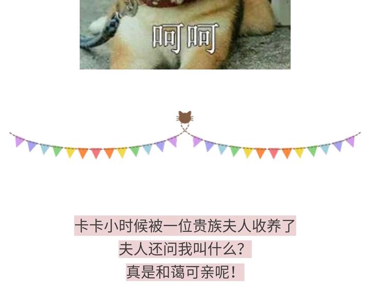 游戏世界韩漫全集-818那些有毒的贵族们无删减无遮挡章节图片 