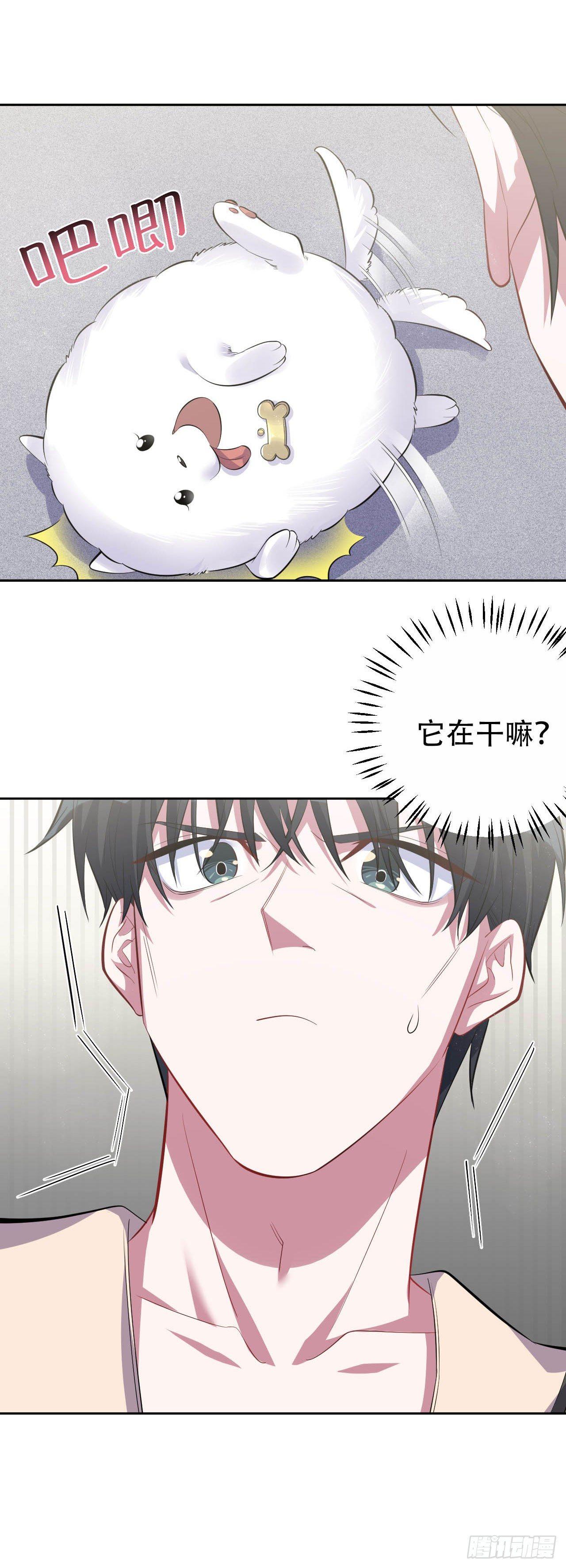 岳父大人是老婆韩漫全集-27.球球的逆袭！无删减无遮挡章节图片 