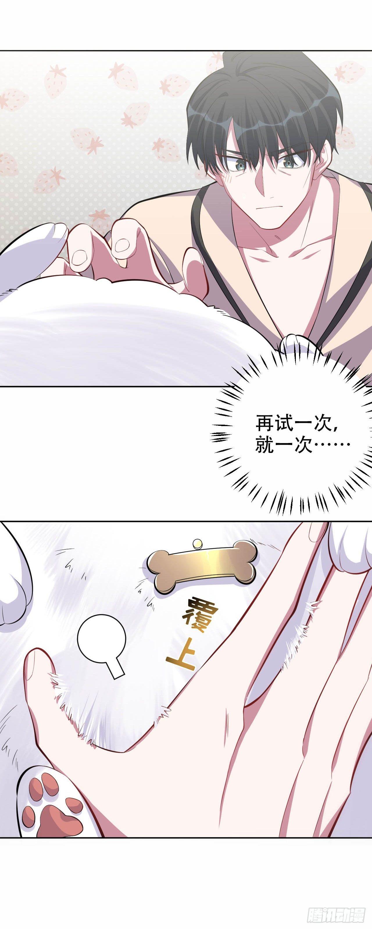 岳父大人是老婆韩漫全集-27.球球的逆袭！无删减无遮挡章节图片 