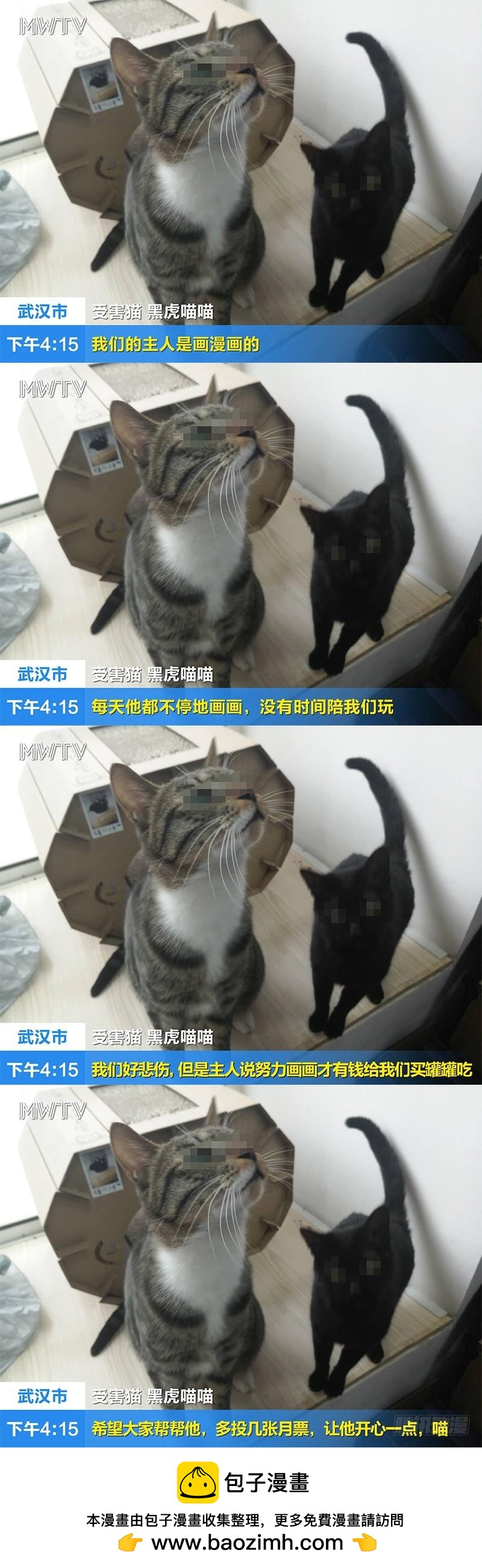 驭灵师韩漫全集-第十一话 风起（5）无删减无遮挡章节图片 