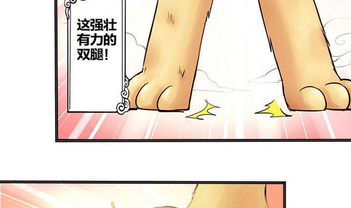 战地圣修韩漫全集-第1话 猴子出世无删减无遮挡章节图片 
