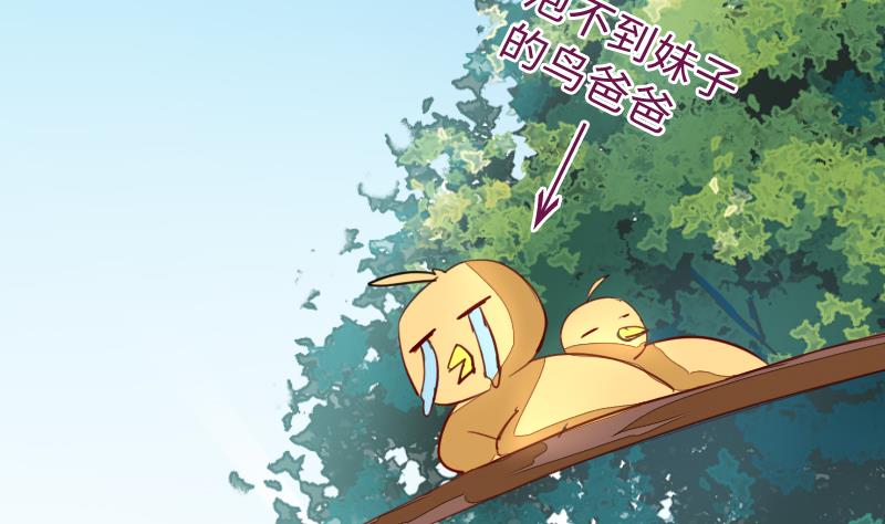 战地圣修韩漫全集-第二季 第11话 甲乙丙来了？ 上无删减无遮挡章节图片 