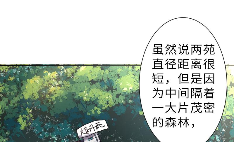 战地圣修韩漫全集-第二季 第13话 下 苑长也不算是个死画画的嘛无删减无遮挡章节图片 