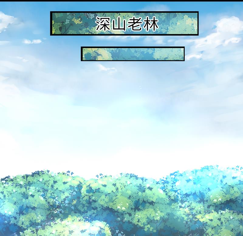 战地圣修韩漫全集-第二季 第16话 上 深山老妖怪究竟是？！！无删减无遮挡章节图片 
