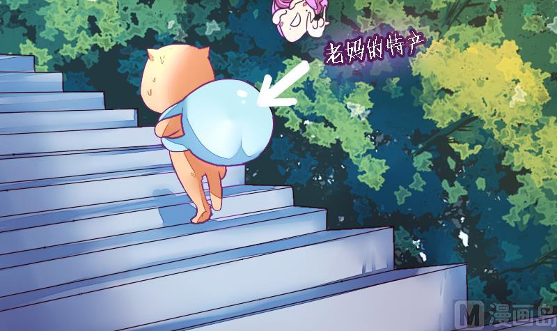 战地圣修韩漫全集-第二季 第20话 上 二师兄肥来了！无删减无遮挡章节图片 