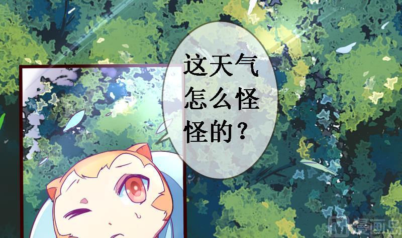 战地圣修韩漫全集-第二季 第20话 上 二师兄肥来了！无删减无遮挡章节图片 