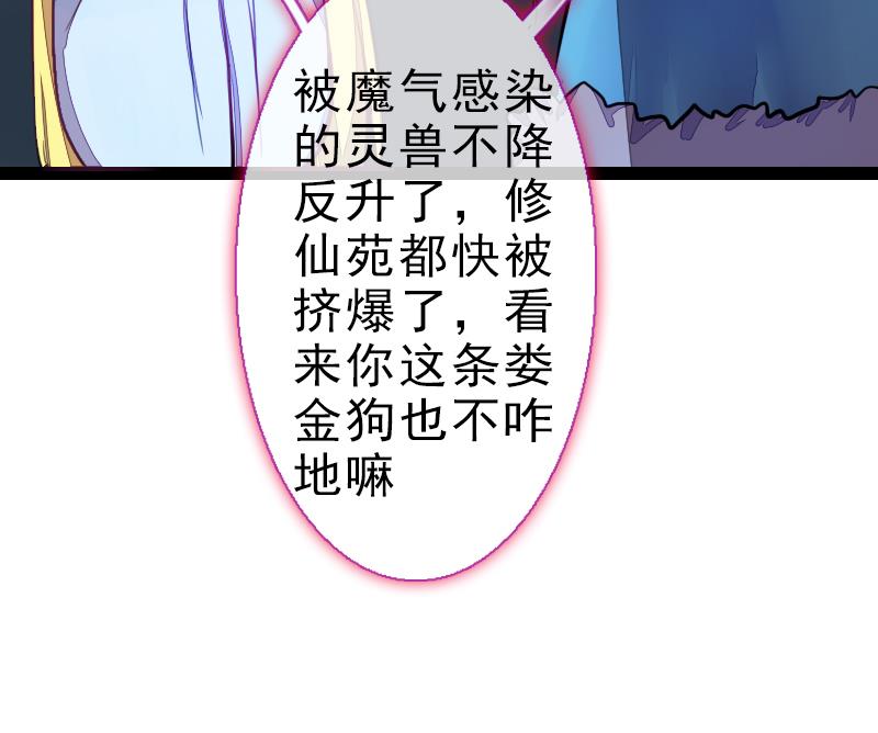 战地圣修韩漫全集-第二季 第23话 下 娄金狗，汪汪汪无删减无遮挡章节图片 