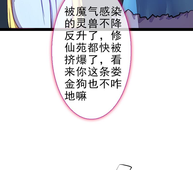战地圣修韩漫全集-第二季 第24话 上 佛系的修仙苑无删减无遮挡章节图片 