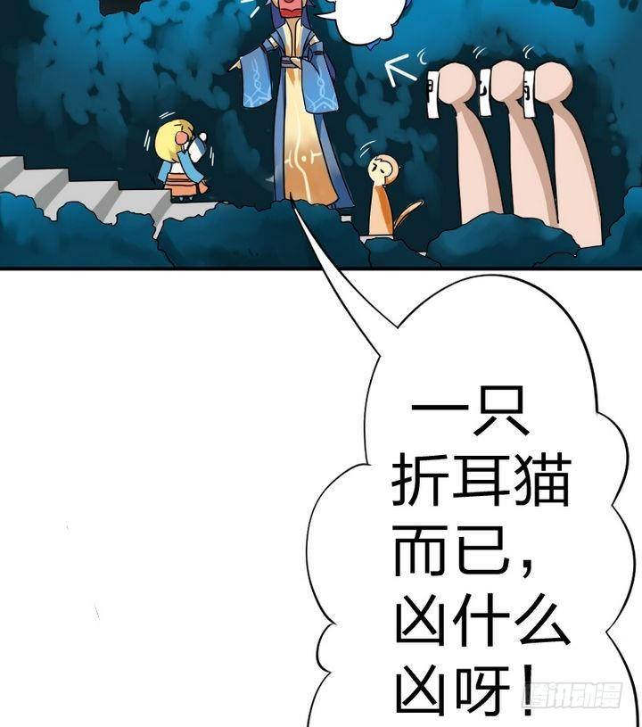 战地圣修韩漫全集-第16话 折耳猫无删减无遮挡章节图片 