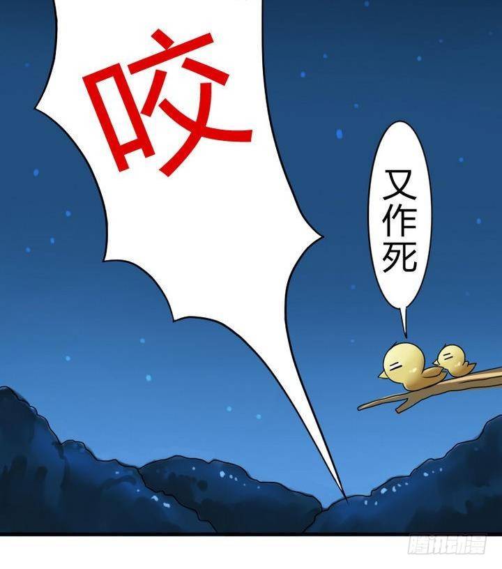 战地圣修韩漫全集-第16话 折耳猫无删减无遮挡章节图片 