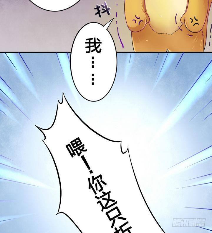 战地圣修韩漫全集-第17话 猫兽无删减无遮挡章节图片 