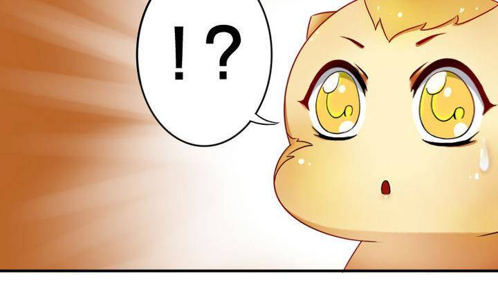 战地圣修韩漫全集-第17话 猫兽无删减无遮挡章节图片 