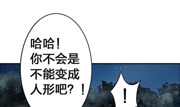 战地圣修韩漫全集-第17话 猫兽无删减无遮挡章节图片 