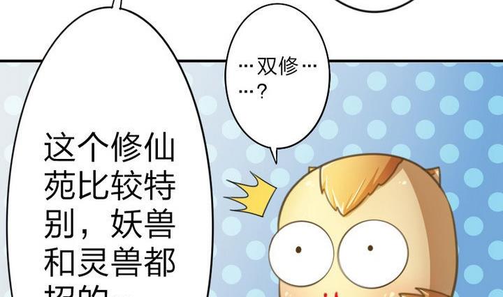 战地圣修韩漫全集-第39话 开始修仙啦无删减无遮挡章节图片 