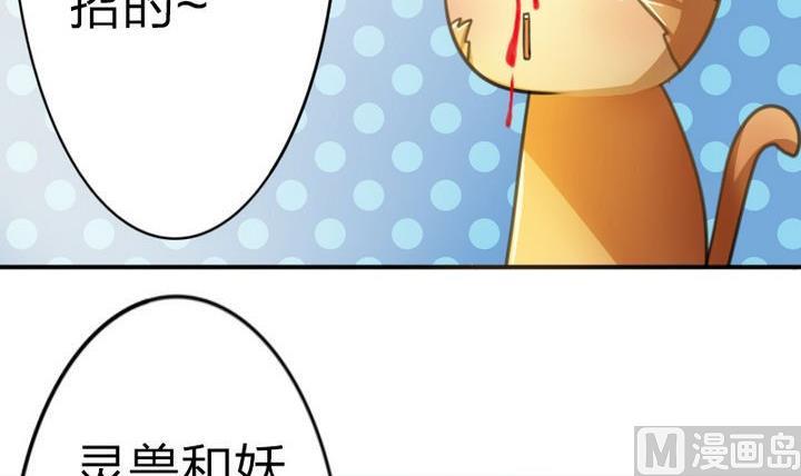 战地圣修韩漫全集-第39话 开始修仙啦无删减无遮挡章节图片 