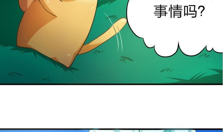 战地圣修韩漫全集-第49话 论特征的重要性无删减无遮挡章节图片 
