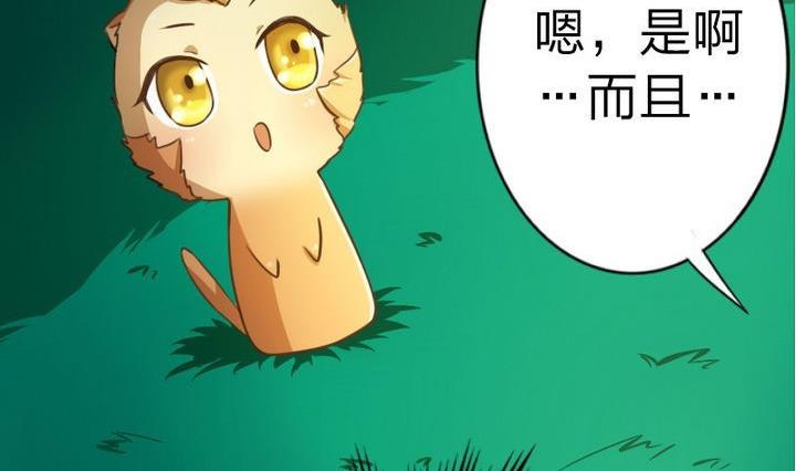 战地圣修韩漫全集-第49话 论特征的重要性无删减无遮挡章节图片 
