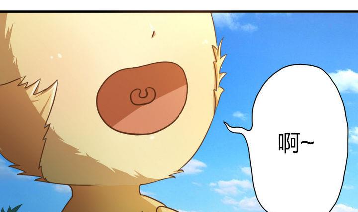战地圣修韩漫全集-第49话 论特征的重要性无删减无遮挡章节图片 