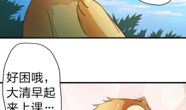 战地圣修韩漫全集-第49话 论特征的重要性无删减无遮挡章节图片 