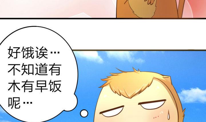 战地圣修韩漫全集-第49话 论特征的重要性无删减无遮挡章节图片 