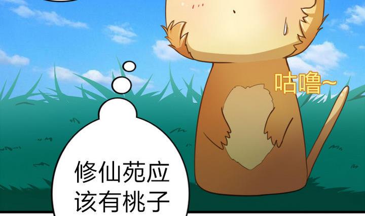 战地圣修韩漫全集-第49话 论特征的重要性无删减无遮挡章节图片 