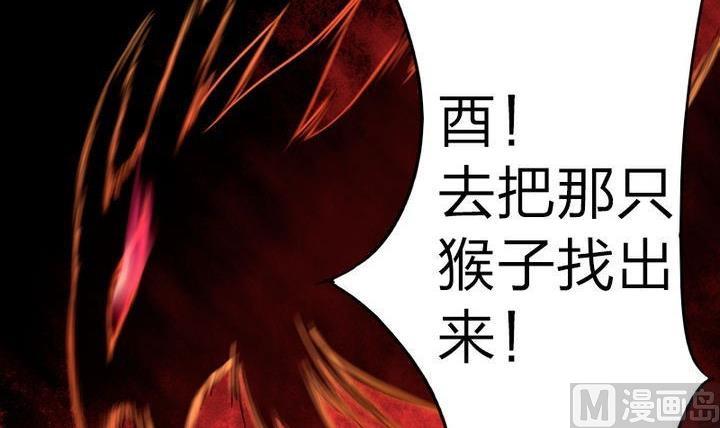战地圣修韩漫全集-第73话 躲吧！骚猴！无删减无遮挡章节图片 