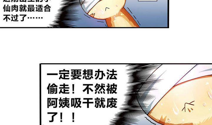 战地圣修韩漫全集-第9话 美艳阿姨无删减无遮挡章节图片 