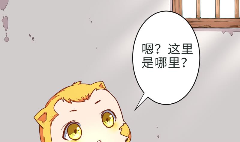 战地圣修韩漫全集-第二季 第1话 小乐“回来”了 下无删减无遮挡章节图片 