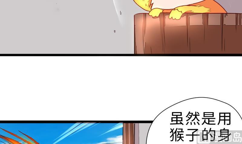 战地圣修韩漫全集-第二季 第4话 猴子肉可好吃？ 上无删减无遮挡章节图片 