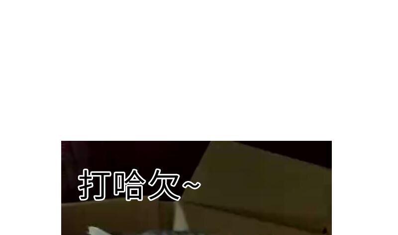 战地圣修韩漫全集-第二季 第4话 猴子肉可好吃？ 上无删减无遮挡章节图片 