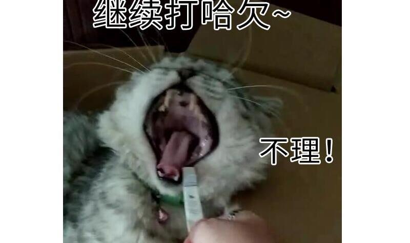 战地圣修韩漫全集-第二季 第4话 猴子肉可好吃？ 上无删减无遮挡章节图片 