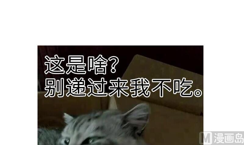 战地圣修韩漫全集-第二季 第4话 猴子肉可好吃？ 上无删减无遮挡章节图片 