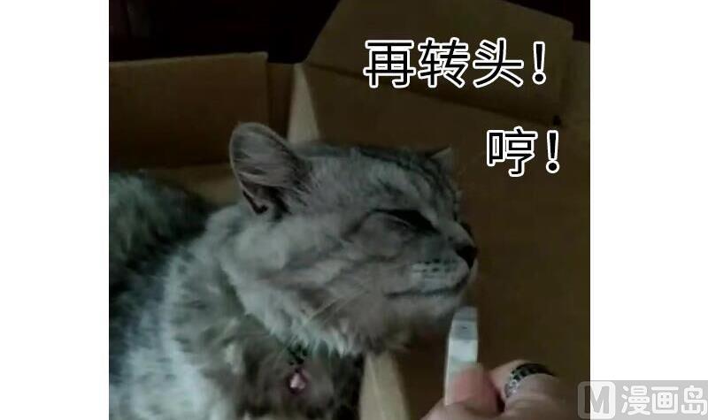 战地圣修韩漫全集-第二季 第4话 猴子肉可好吃？ 上无删减无遮挡章节图片 