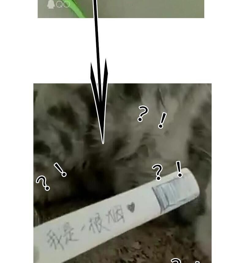 战地圣修韩漫全集-第二季 第4话 猴子肉可好吃？ 上无删减无遮挡章节图片 