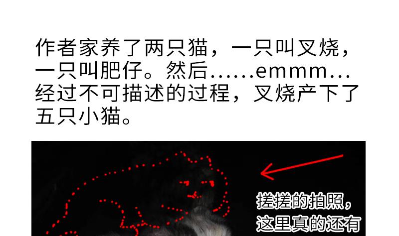 战地圣修韩漫全集-第二季 第4话 猴子肉可好吃？ 下无删减无遮挡章节图片 