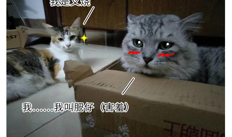 战地圣修韩漫全集-第二季 第4话 猴子肉可好吃？ 下无删减无遮挡章节图片 