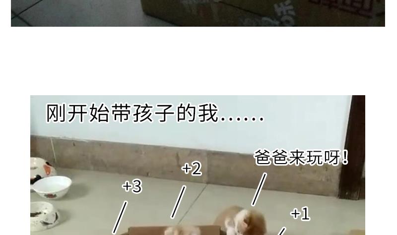 战地圣修韩漫全集-第二季 第4话 猴子肉可好吃？ 下无删减无遮挡章节图片 