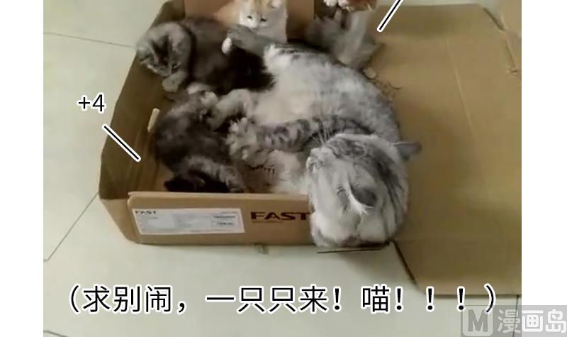 战地圣修韩漫全集-第二季 第4话 猴子肉可好吃？ 下无删减无遮挡章节图片 