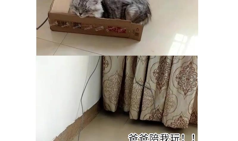 战地圣修韩漫全集-第二季 第4话 猴子肉可好吃？ 下无删减无遮挡章节图片 