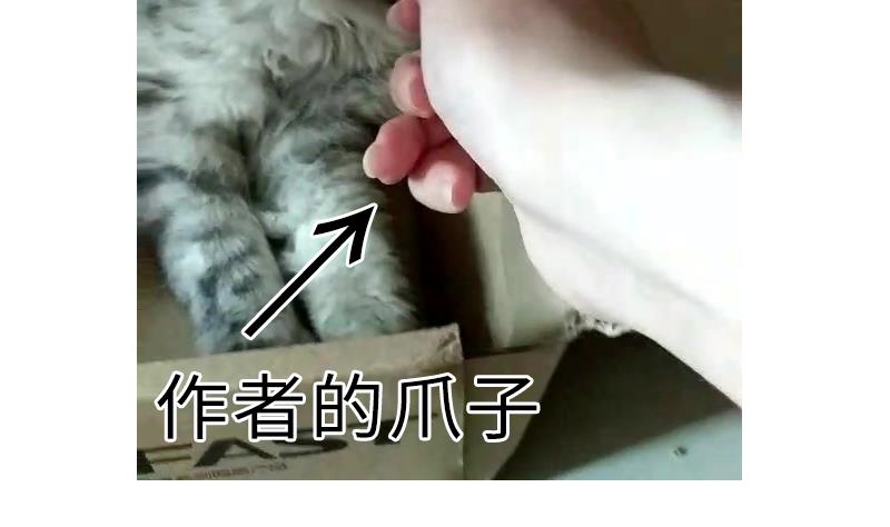战地圣修韩漫全集-第二季 第5话 咕咕咕？ 上无删减无遮挡章节图片 