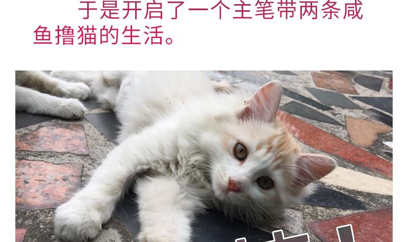 战地圣修韩漫全集-第二季 第7话 事实证明你是受 上无删减无遮挡章节图片 