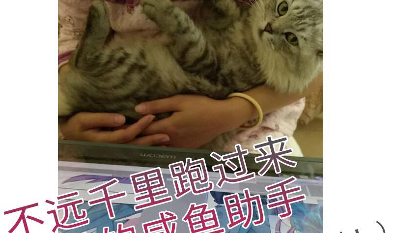 战地圣修韩漫全集-第二季 第7话 事实证明你是受 上无删减无遮挡章节图片 
