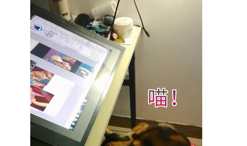 战地圣修韩漫全集-第二季 第9话 要和平，不要打架嘛 下无删减无遮挡章节图片 