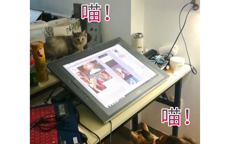 战地圣修韩漫全集-第二季 第9话 要和平，不要打架嘛 下无删减无遮挡章节图片 